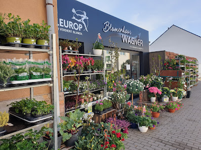 Blumenhaus Wagner