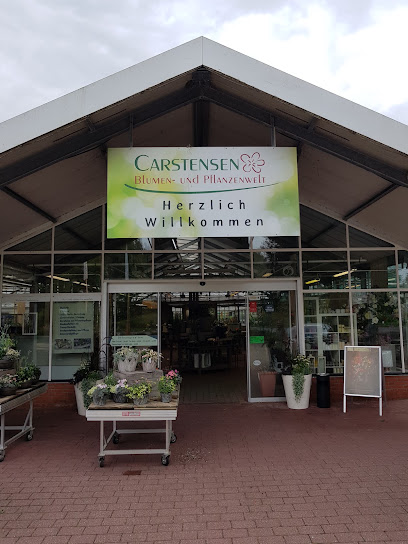 Pflanzenwelt Carstensen