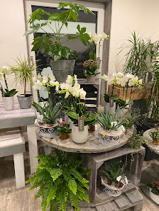 Thommys Blumenmarkt