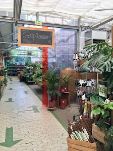 Garten 2000 + mehr GmbH & Co. KG