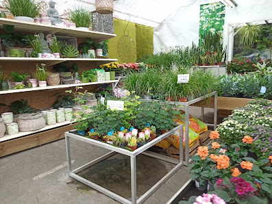 Garten 2000 + mehr GmbH & Co. KG