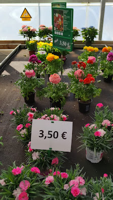 Garten 2000 + mehr GmbH & Co. KG