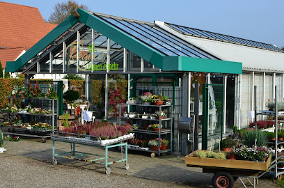 Regines Blumen & Mehr