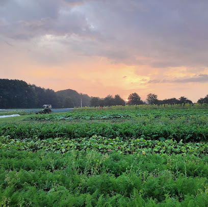 Bio-Landwirtschaftsbetrieb in Nübel