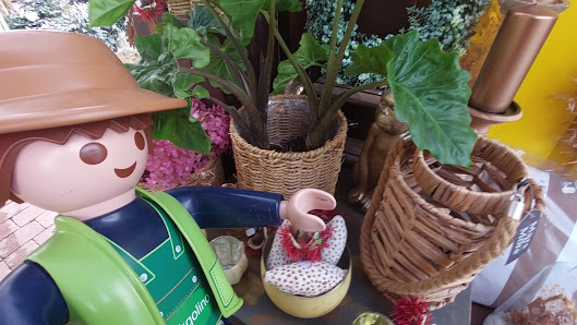 Blattschmuck Gärtnerei