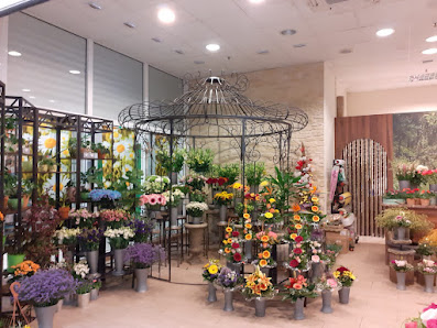 Blumen Sia
