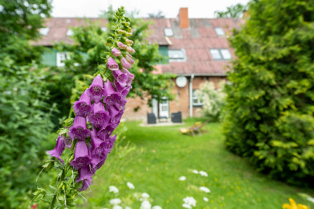 Garten- und Landschaftsbau Gut Basthorst