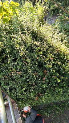 Gartenbau Ehrhardt