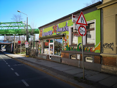 Blumen Klimsch