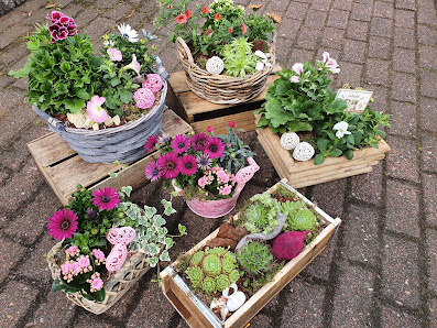 Blumen Manke