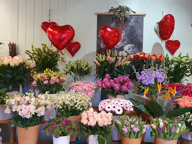 Blumen Manke