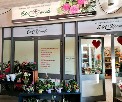 Blumen Edelweiß Gotha