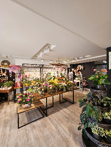Blumen Edelweiß Gotha
