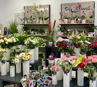 Blumen Edelweiß Gotha