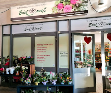 Blumen Edelweiß Gotha