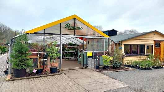 Pomona Baumschulen - Ralf Lehmann