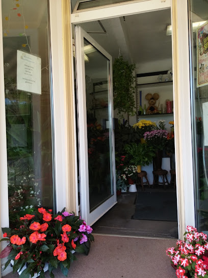 Blumen Schindler