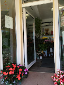 Blumen Schindler