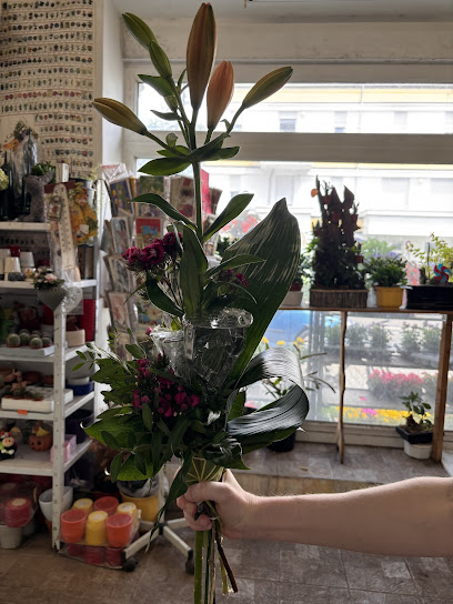 Jonny und Violetta Blumenparadies