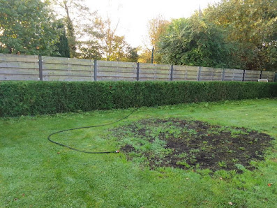 q garten