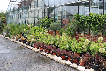 Gärtnerei Christopher Jünemann