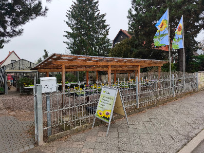 Ingo Frieße