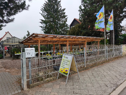 Ingo Frieße