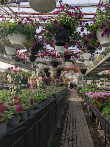 Gärtnerei, Floristk und Dienstleistungen Memmler