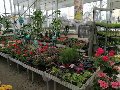 Flora Plus Zehma