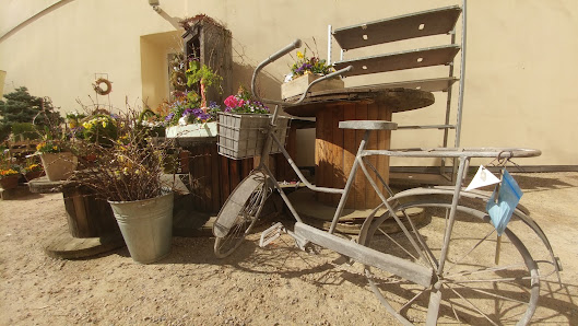 DER BLUMENLADEN