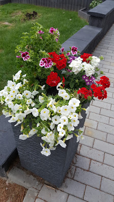Gärtnerei Staacke