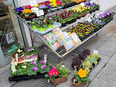 Gartenbau & Floristik Eismann Blumengeschäft