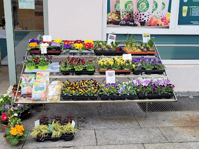Gartenbau & Floristik Eismann Blumengeschäft