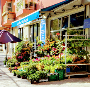 Ambiente & Floristik