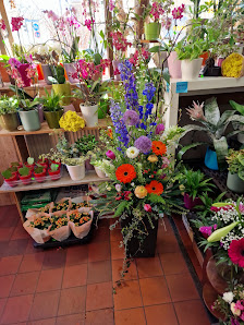 Blumenhaus Orchidee