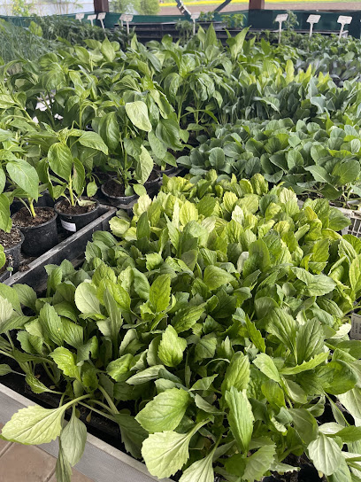 Gartenbau Giegold