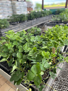 Gartenbau Giegold