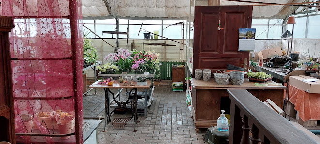 Paula's Blumenladen