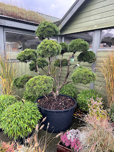 Gartenbau Teske