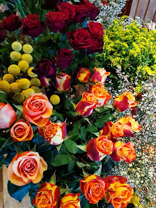 Blumen Bleifuß