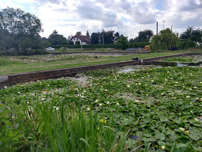 Wasserpflanzengärtnerei Krause