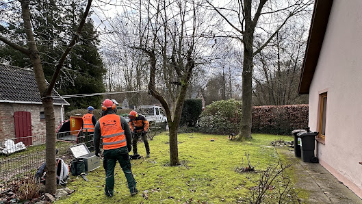 Haus & Gartenservice TONI