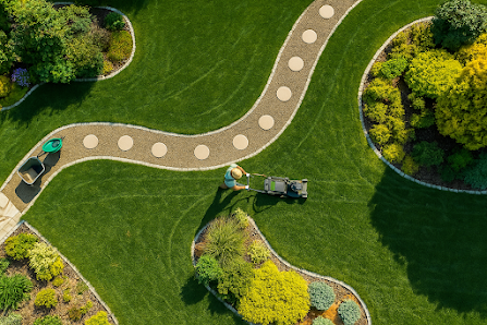 Gartenpflege Orchidee
