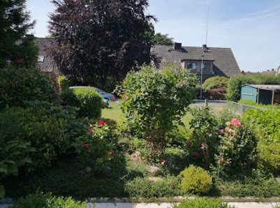 LAUE - Gartenpflege- und Gestaltung