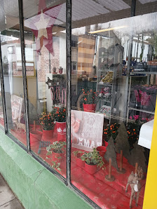 Blumen Kunert
