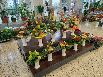 Blumen Wandel