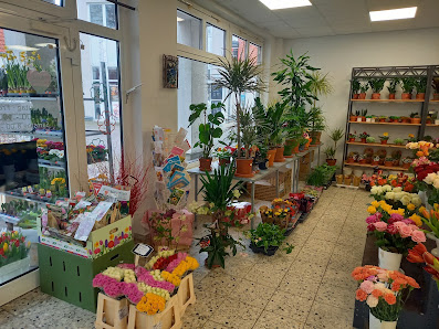 Blumen Wandel