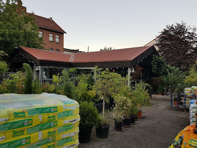 Samen Zimmermann übernommen durch Rudolstädter WohnGarten