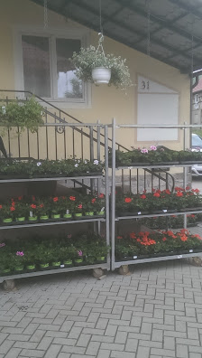 Gartenbau Falk Schäfer