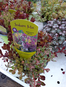 Otto’s Gartenparadies OHG Hildburghausen